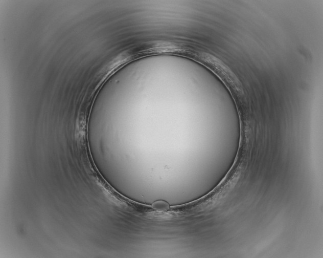 X0000112461185200908311323