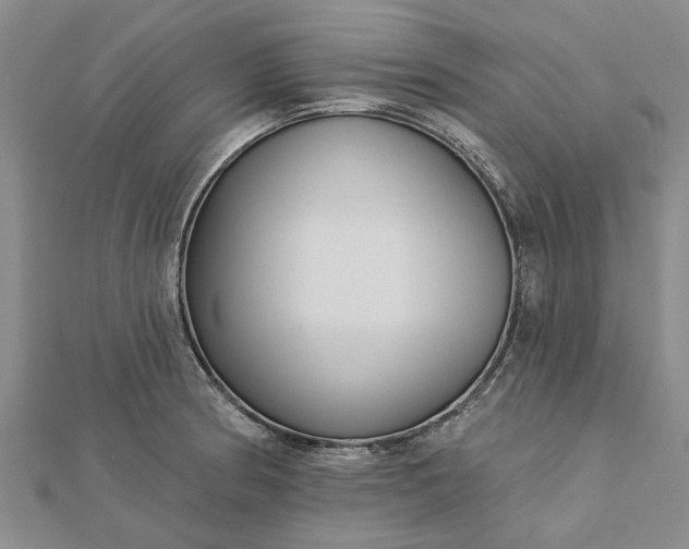 X0000112461186200908311323