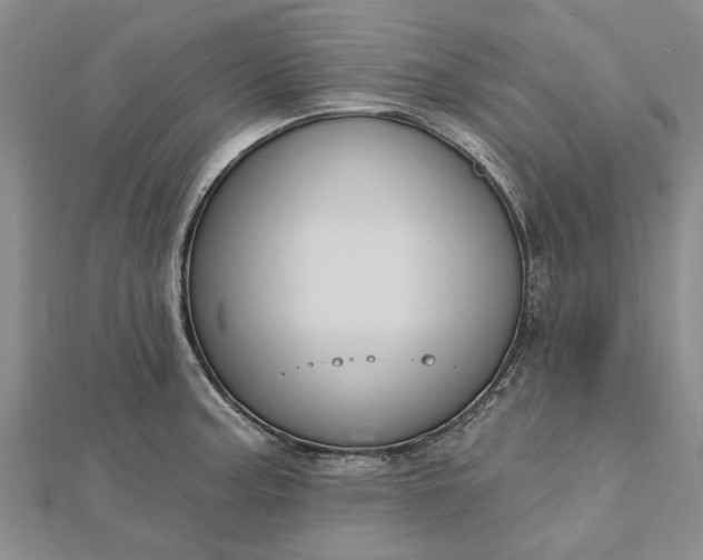 X0000112461187200908311323