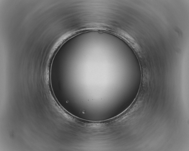 X0000112461188200908311323