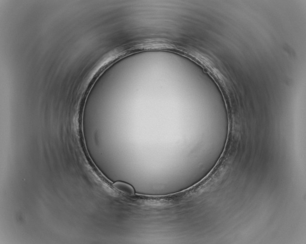 X0000112461189200908311323