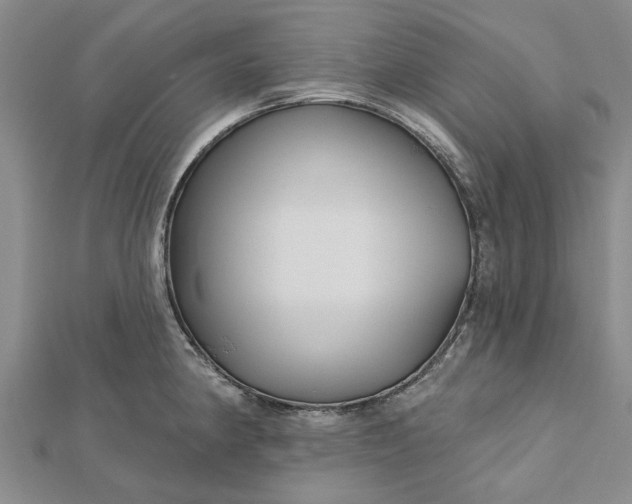 X0000112461190200908311323