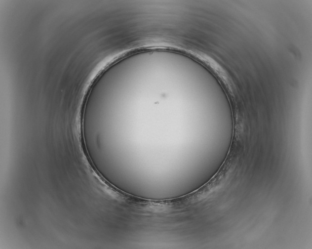 X0000112461191200908311323