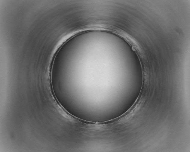 X0000112461192200908311323