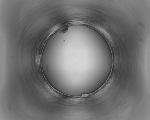 X0000112461193200908311323