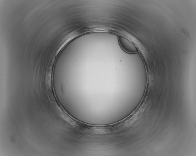 X0000112461194200908311323