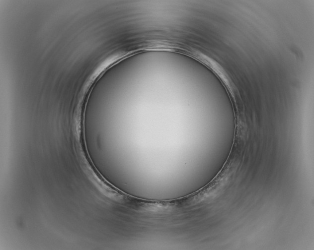 X0000112461195200908311323