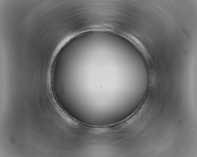 X0000112461196200908311323