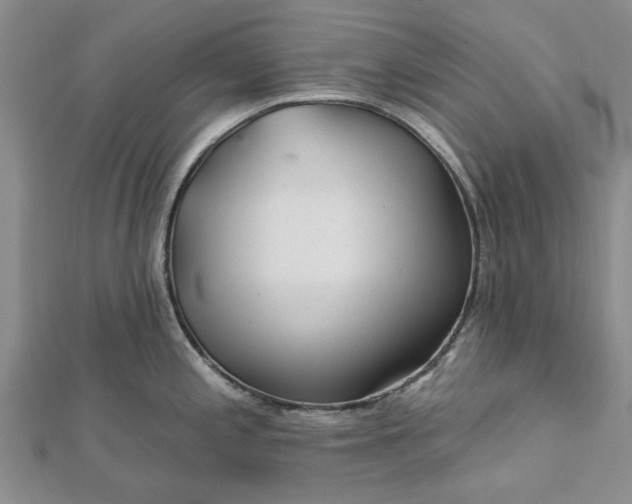 X0000112461197200908311323