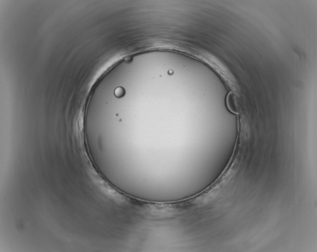 X0000112461198200908311323