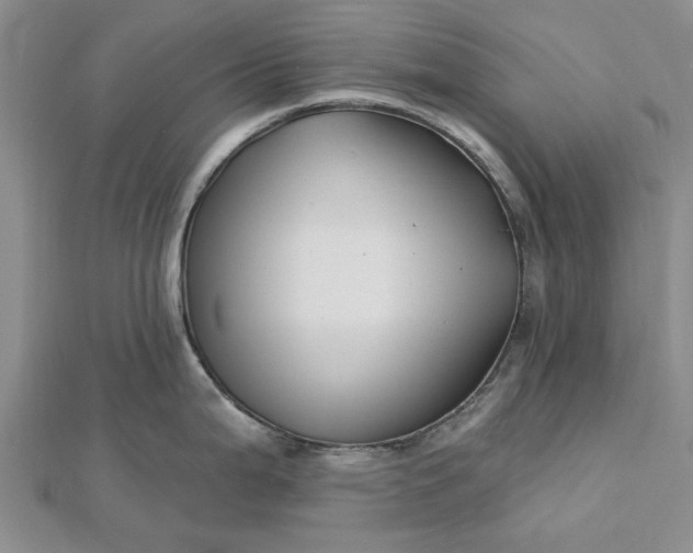 X0000112461199200908311323