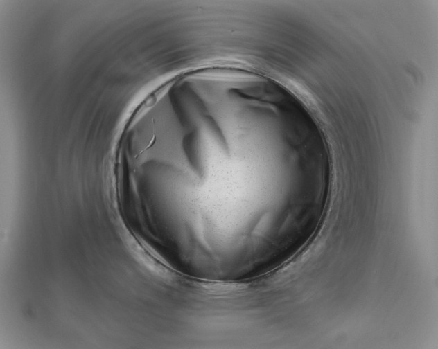 X0000112461200200908311323