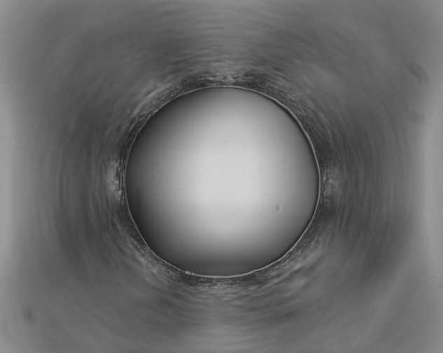 X0000112461202200908311322