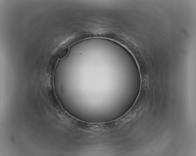 X0000112461205200908311322