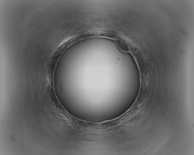 X0000112461206200908311322