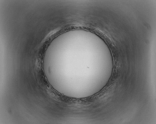 X0000112461207200908311322