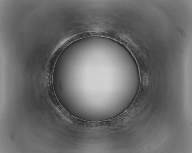 X0000112461208200908311322