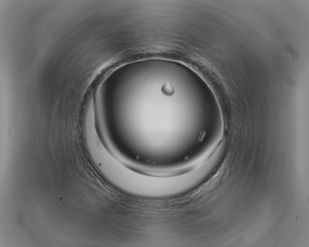 X0000112461210200908311322