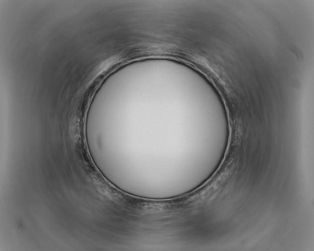 X0000112461211200908311322