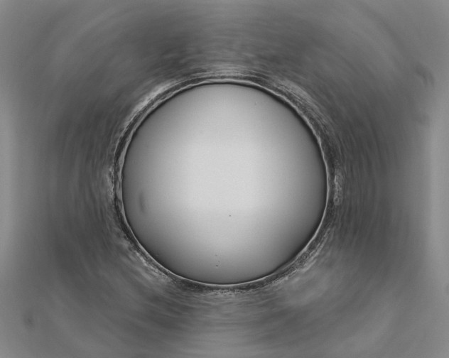 X0000112461212200908311322