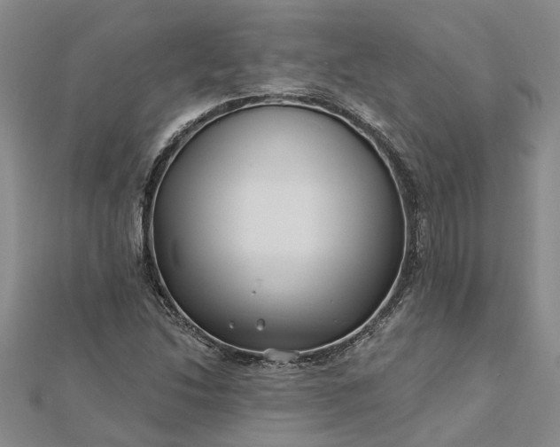 X0000112461214200908311322