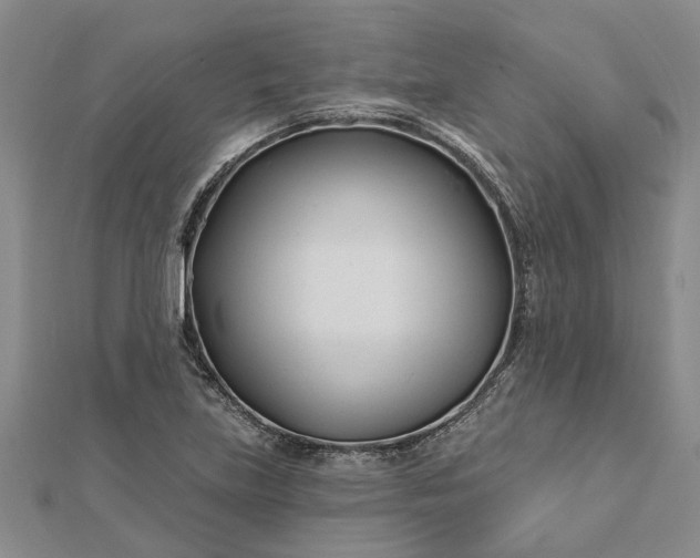 X0000112461219200908311322