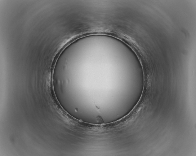 X0000112461220200908311323