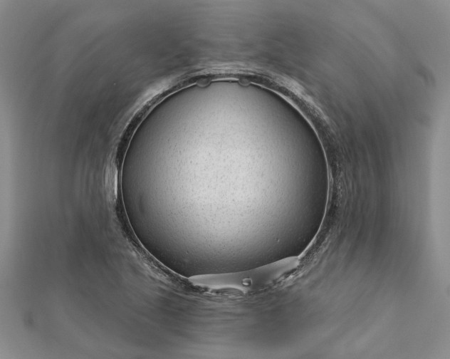 X0000112461221200908311323