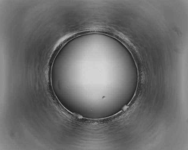 X0000112461222200908311323