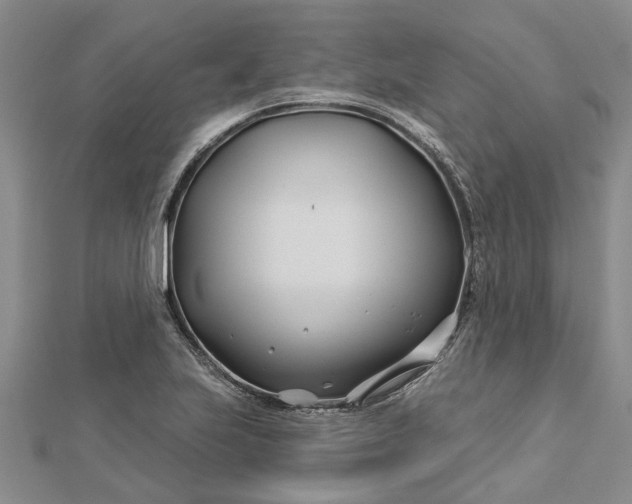 X0000112461223200908311323