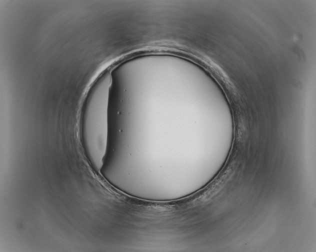 X0000112461224200908311323