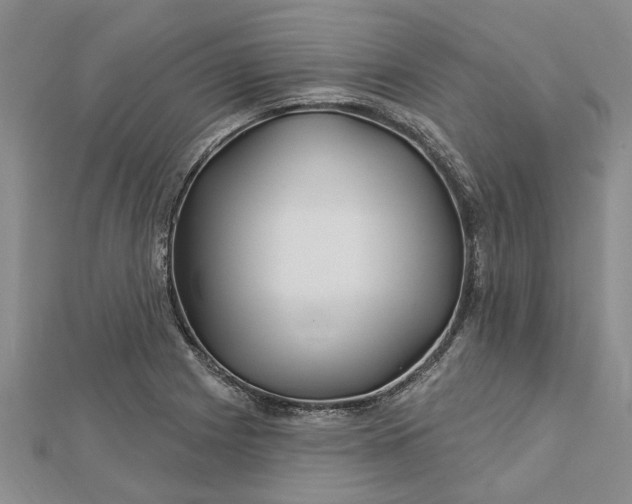 X0000112461225200908311323