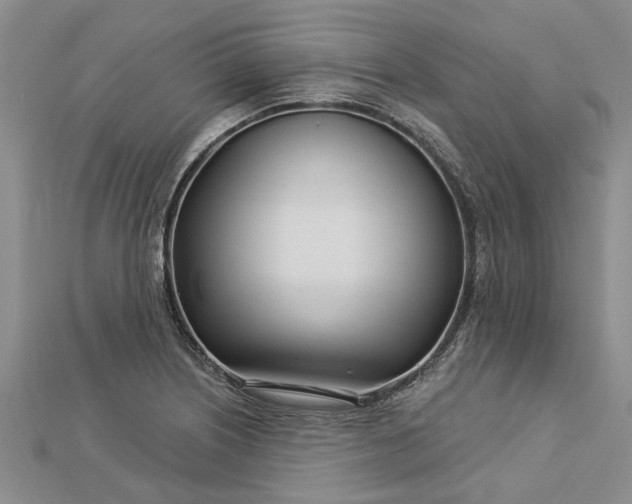 X0000112461226200908311323