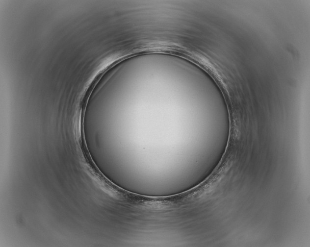 X0000112461227200908311323