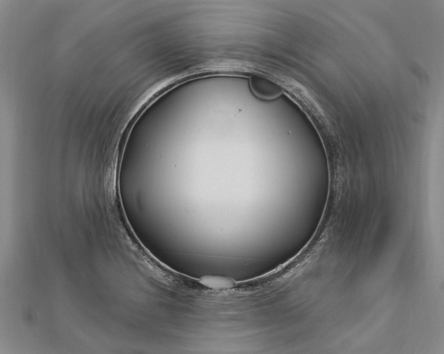 X0000112461228200908311323