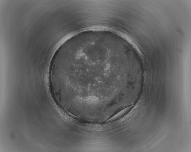 X0000112461229200908311323