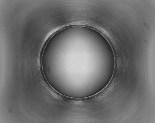 X0000112461230200908311323