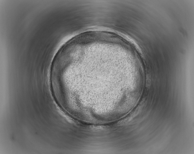 X0000112461231200908311323