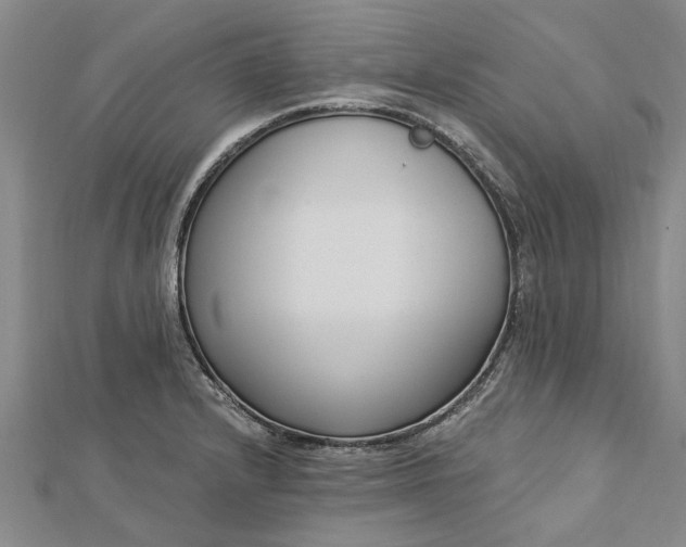 X0000112461232200908311323