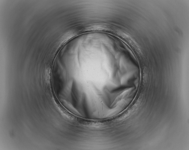 X0000112461233200908311323