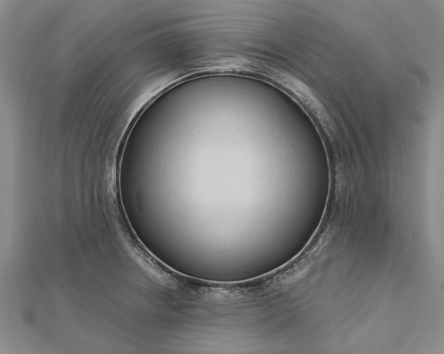 X0000112461234200908311323