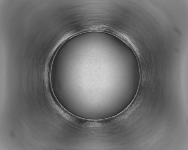 X0000112461235200908311323