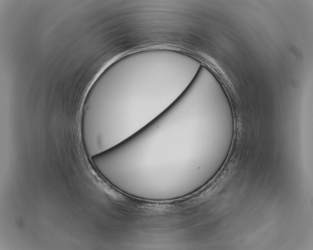 X0000112461236200908311323