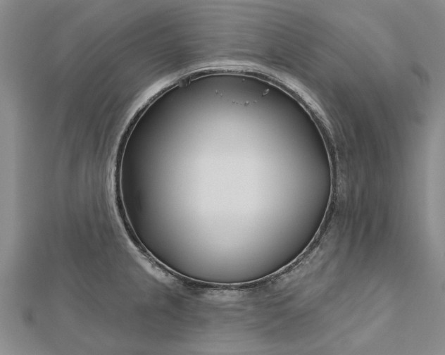 X0000112461237200908311323