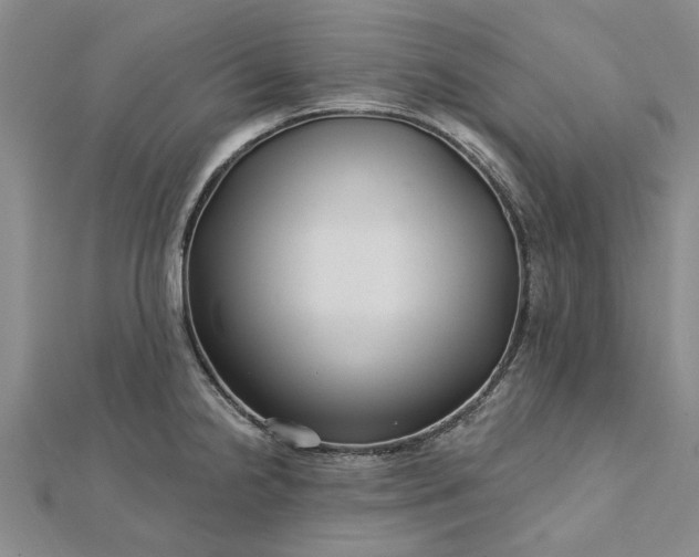 X0000112461238200908311323