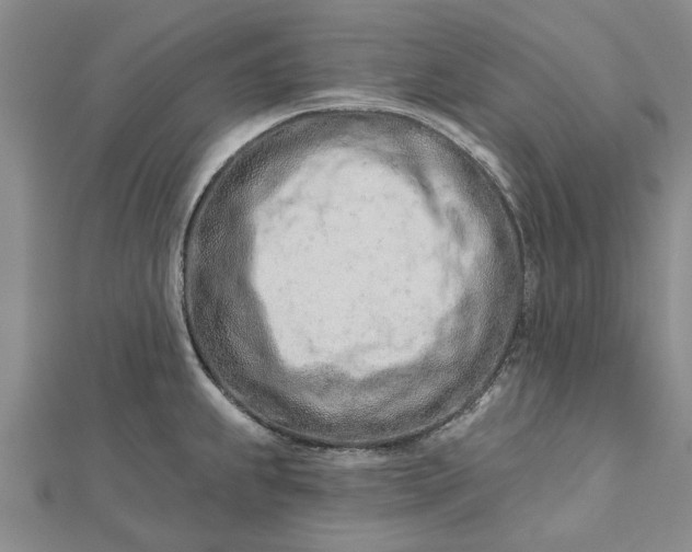 X0000112461239200908311323