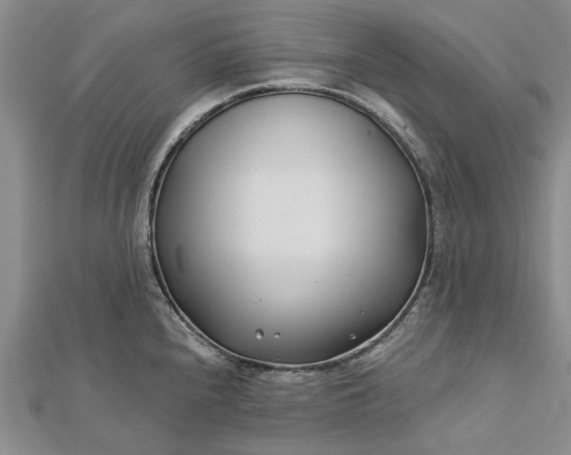 X0000112461240200908311323