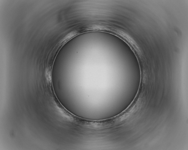 X0000112461241200908311323