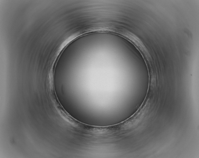 X0000112461242200908311323