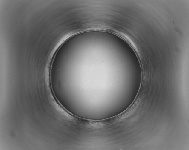 X0000112461243200908311323